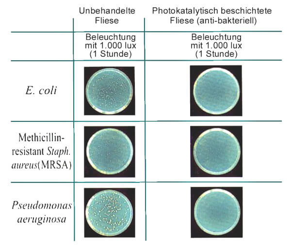 Bakterien werden auf der photokatalytischen Oberfläche zerstört.